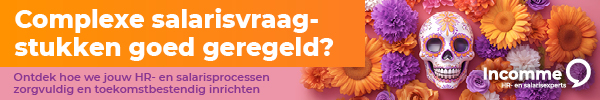 Voorkom fouten in je salarisadministratie. Bekijk hoe Incomme je helpt met advies en kwaliteitsborging.